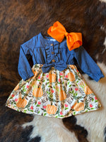 G Chambray Pumpkin Dress