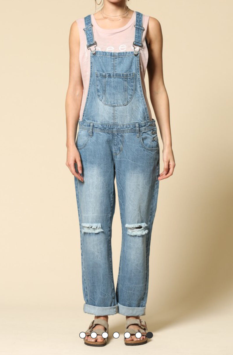 That’s So Fetch Overalls